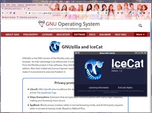 GNU IceCat on a GNU/Linux machine showing the IceCat/Gnuzilla homepage