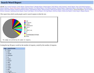 Search Word Report generated by Analog (CE)